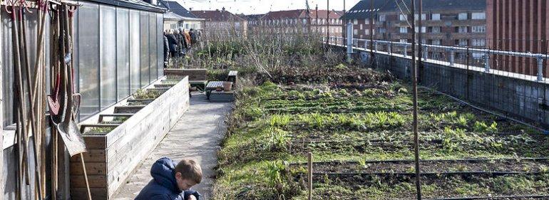 Innovationsfonden udpeger de bedste klimaløsninger