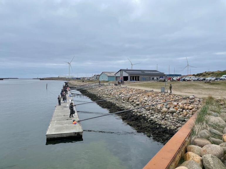 Hvide Sande Havn: Turisterne er velkomne, og erhvervsfiskeriet er en attraktion