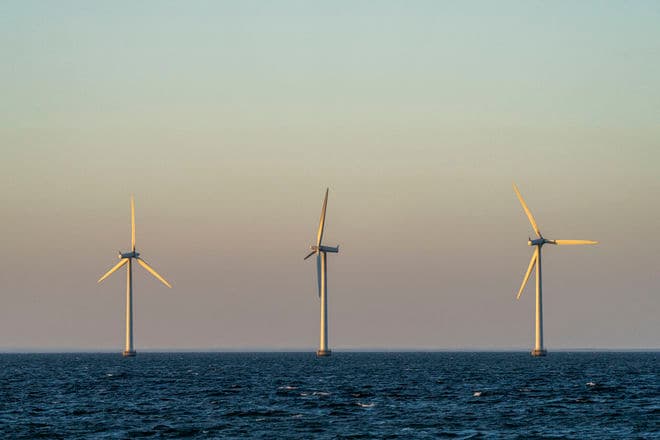 Lars Laursen/Biofoto/Ritzau Scanpix